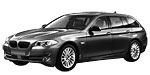 BMW F11 C222D Fault Code